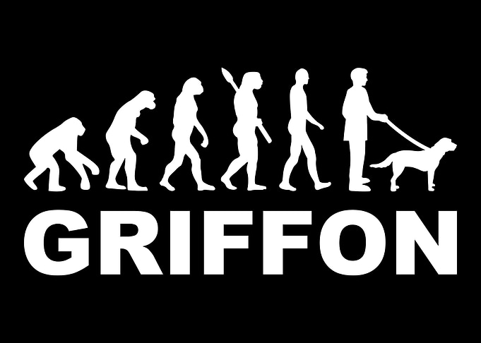 Griffon