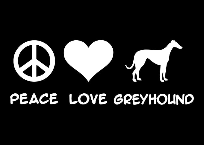 Greyhound