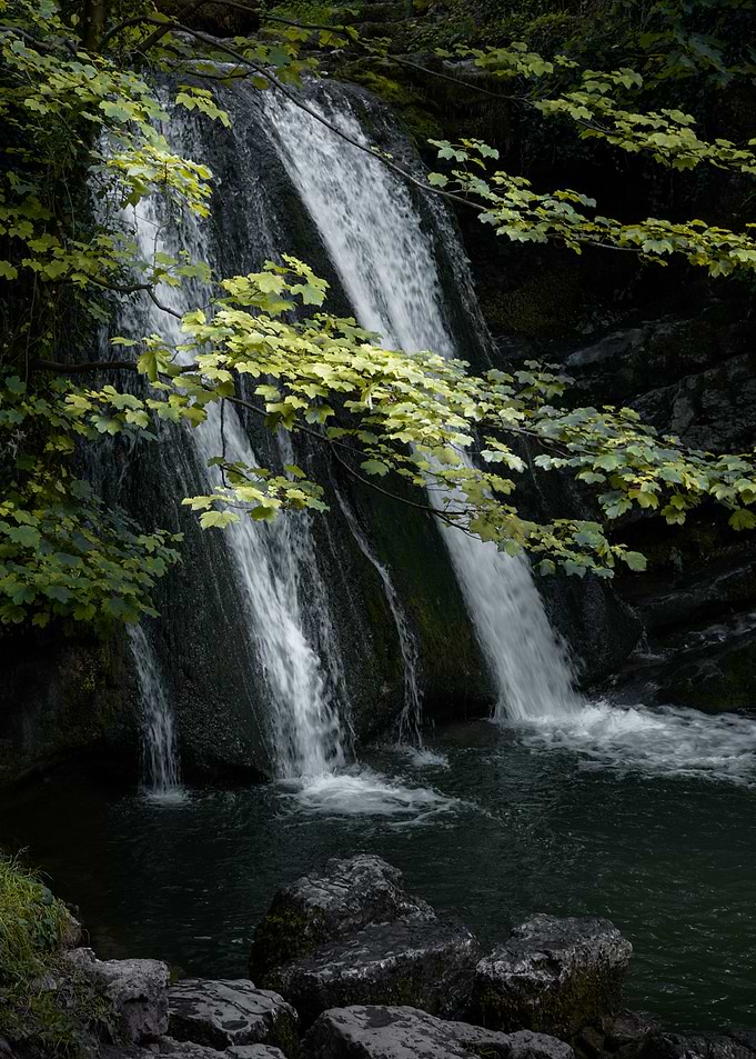 Woodland River