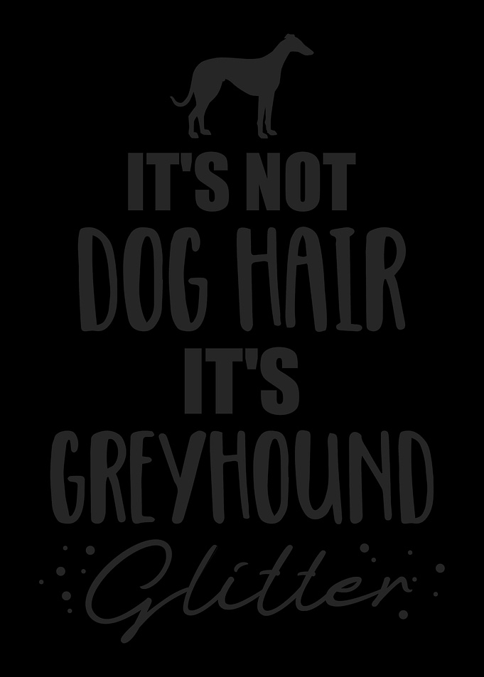 Greyhound