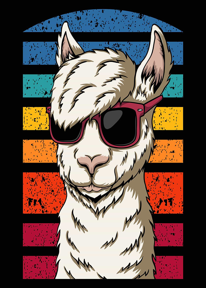 Stylish llama Alpaca