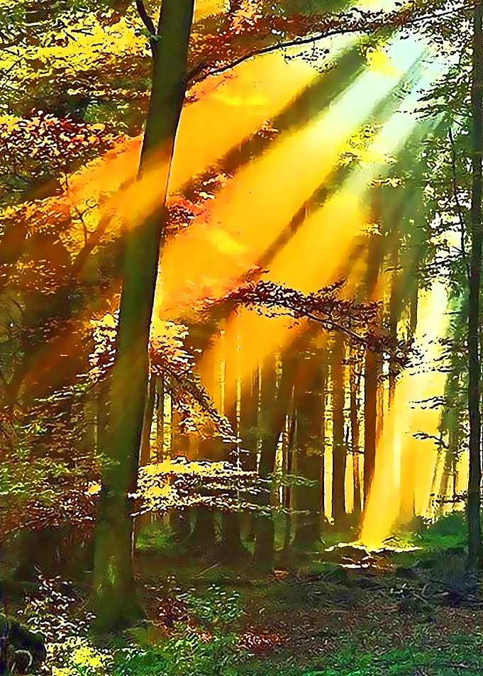 Nature 19