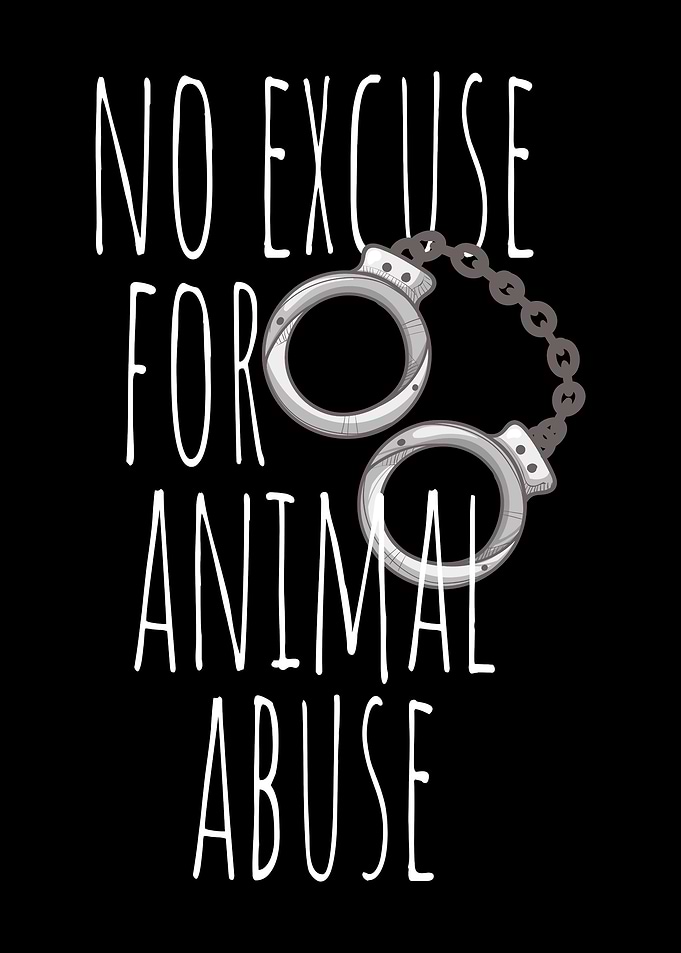 No Excuse For Animal Abuse