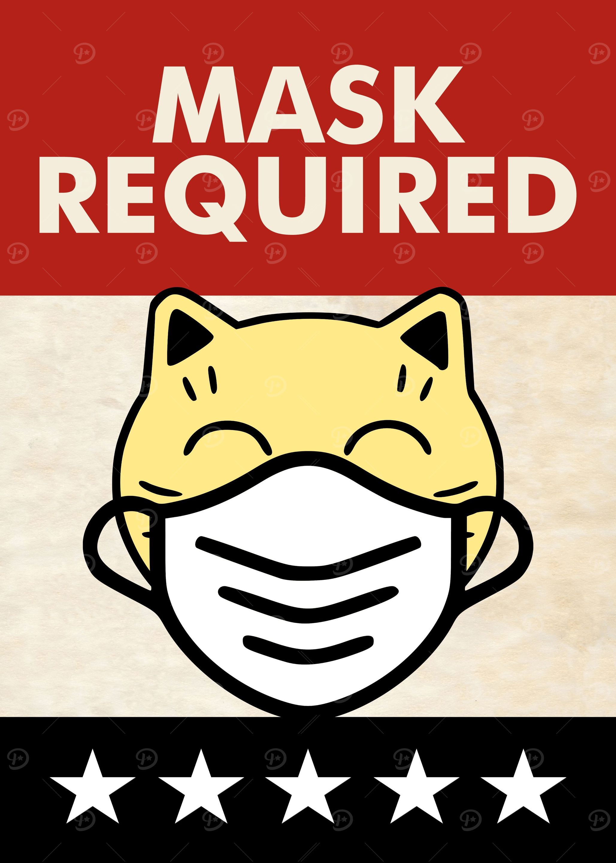 MASK REQUIRED CAT