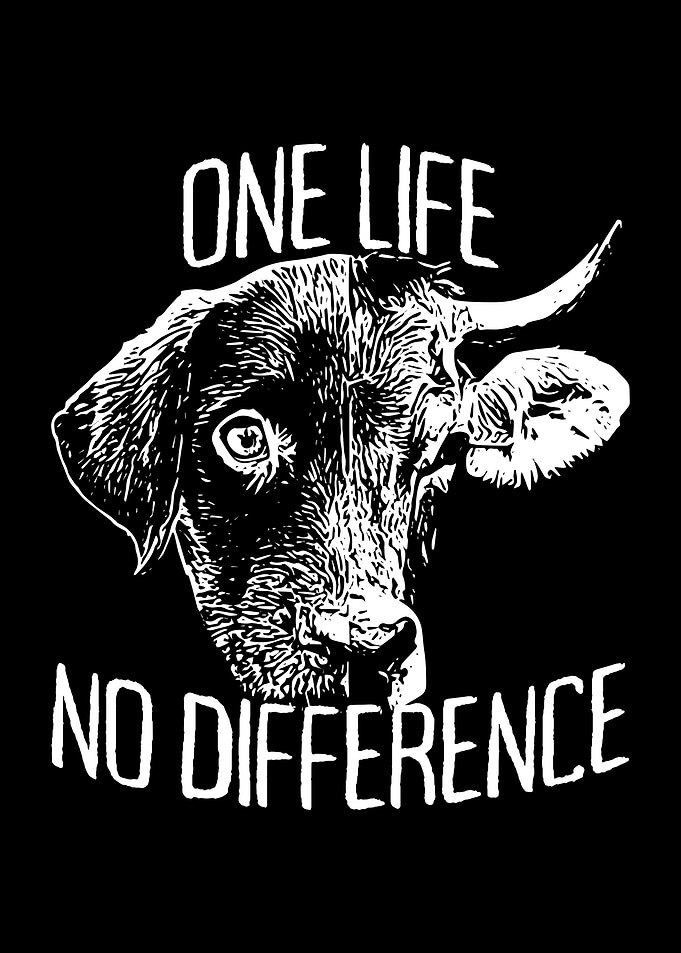 One Life No Difference