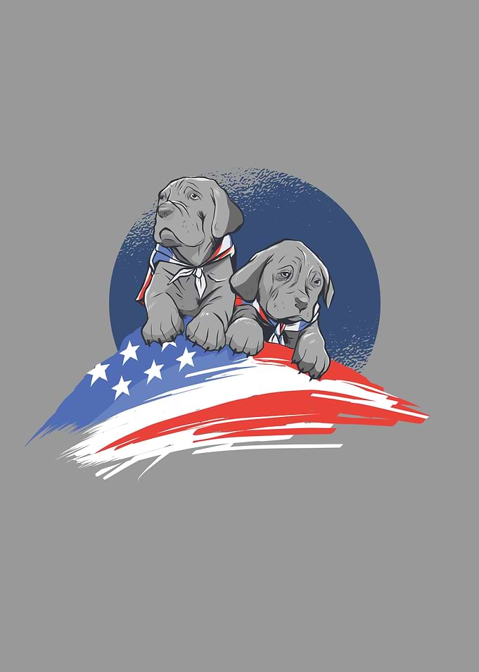 AMERICAN DOG