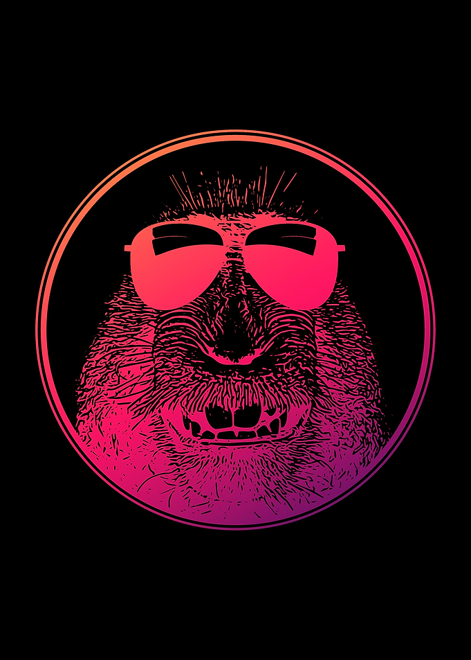 Monkey With Sunglasses