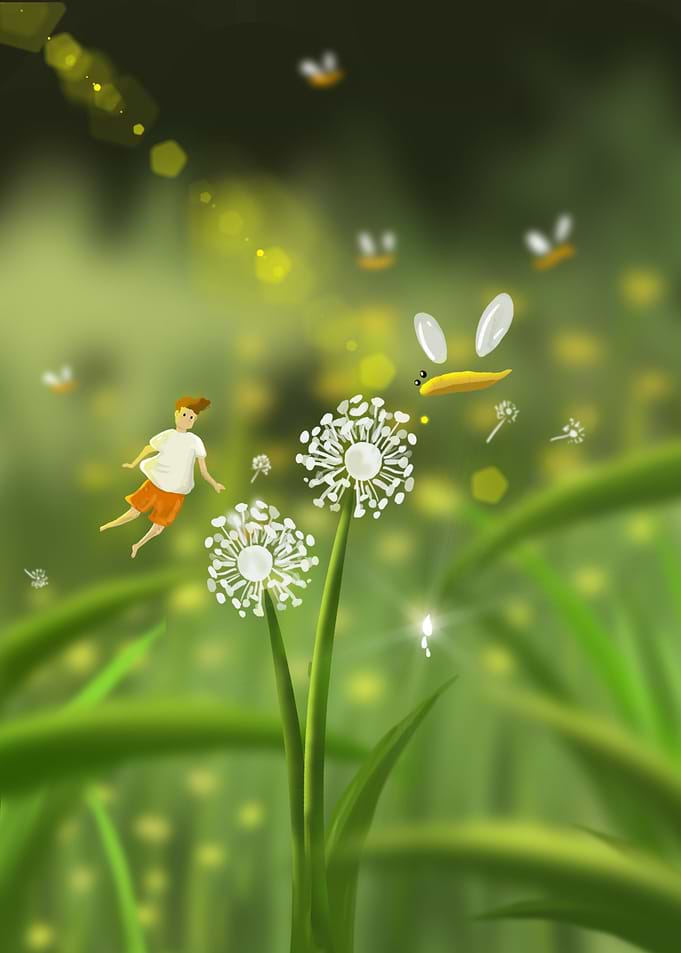 Dandelion