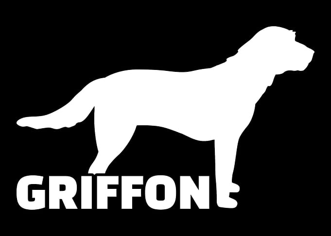 Griffon