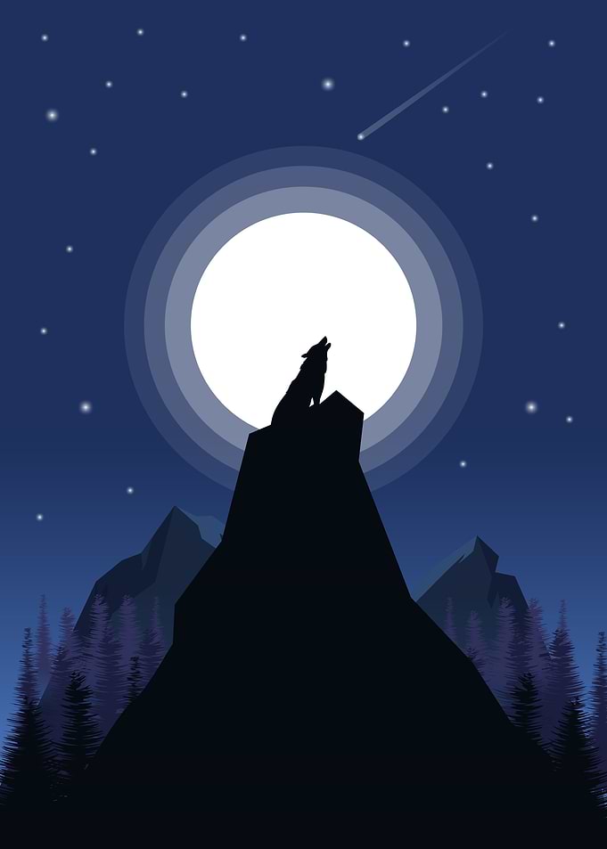 landscape wolf