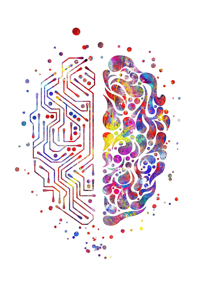 Circuit board brain