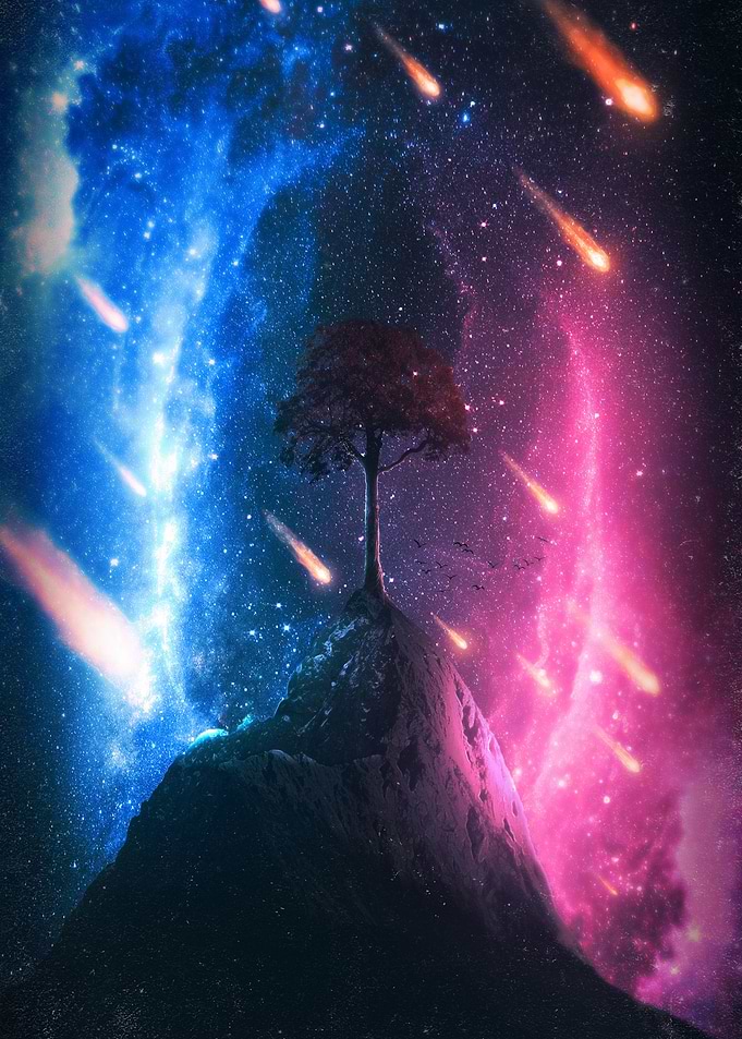 Drvce