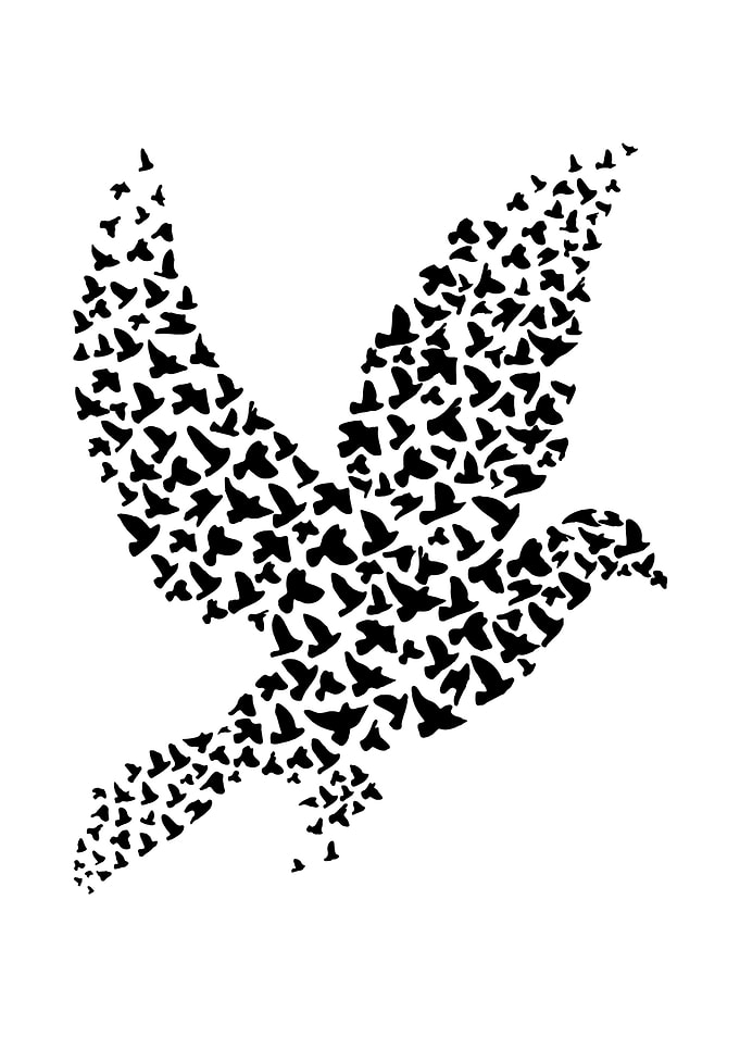 Peace Dove World Peace
