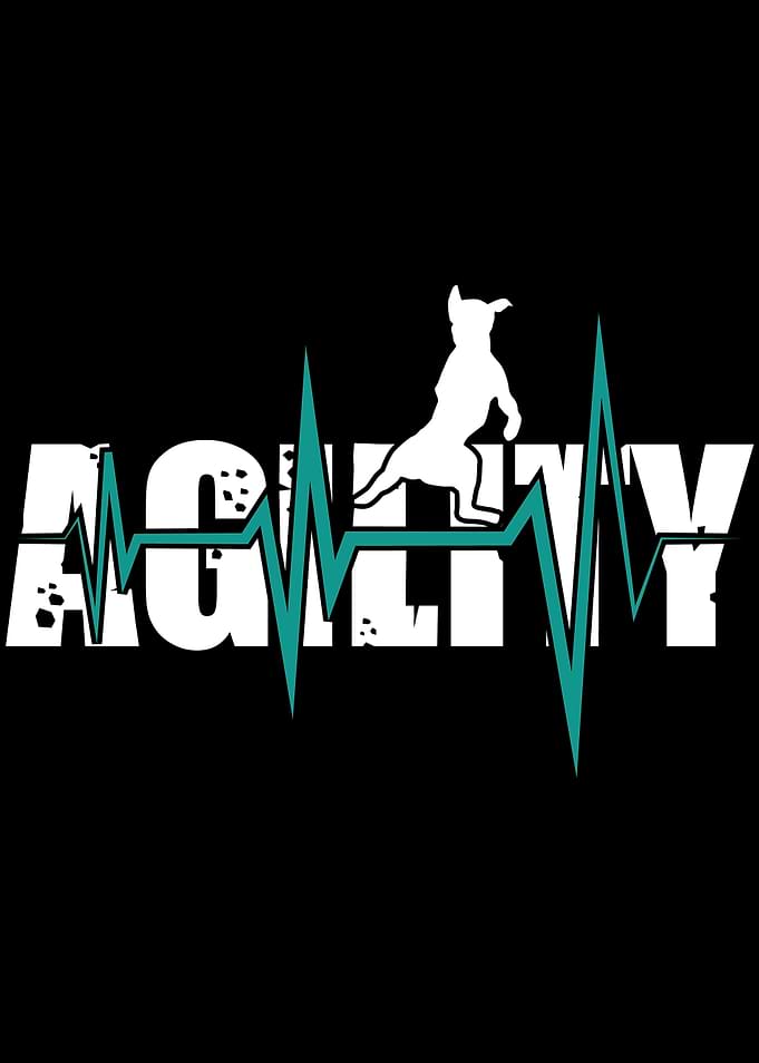Agility Dogs Agility