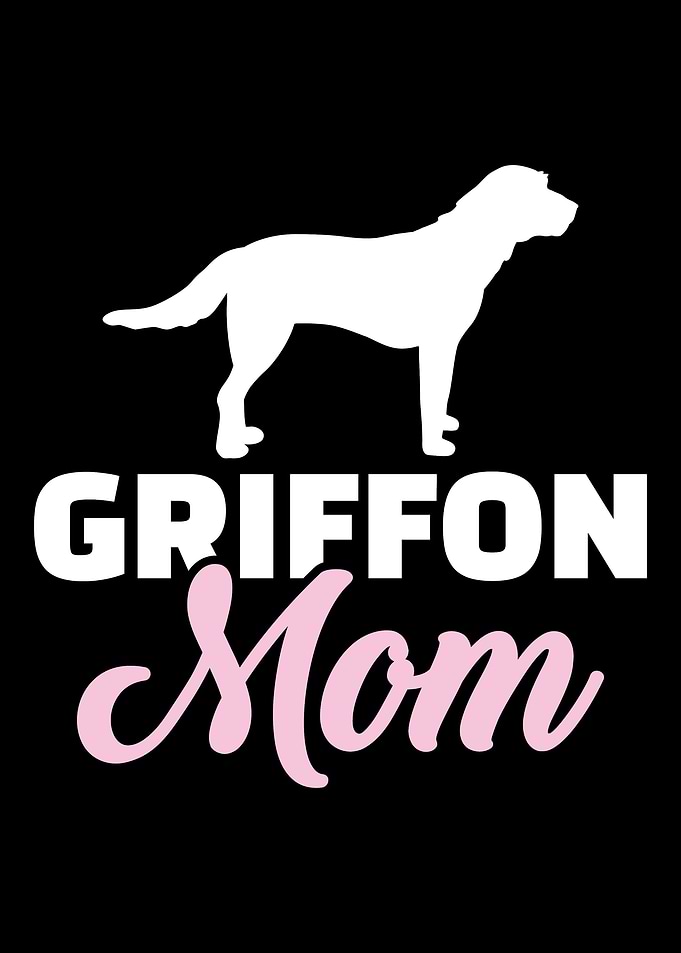 Griffon