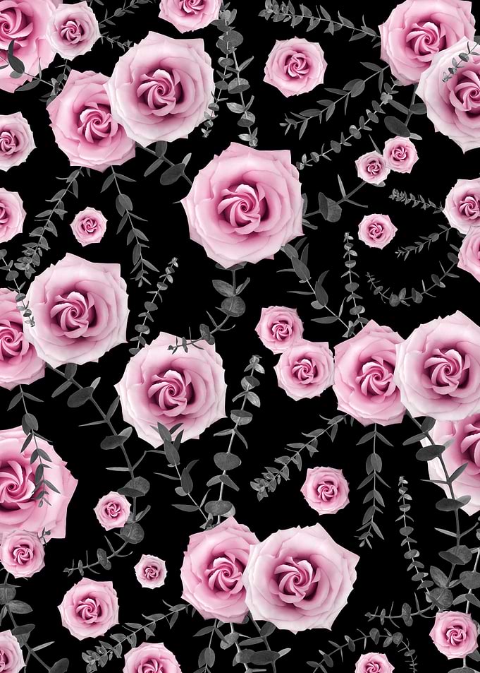 Night Rose Eucalyptus 5