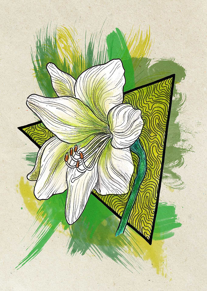 Amaryllis Light