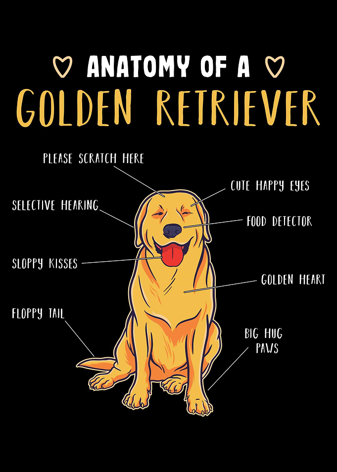 Golden Retriever Gift