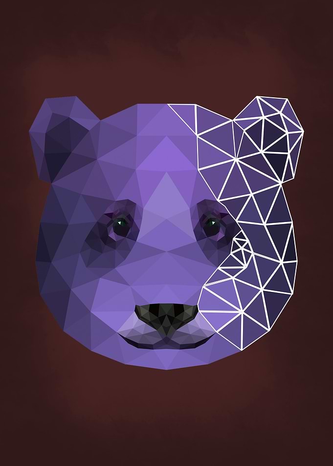 Bear Geometric Line Art