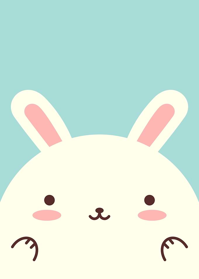 Cute Kawaii Rabbit