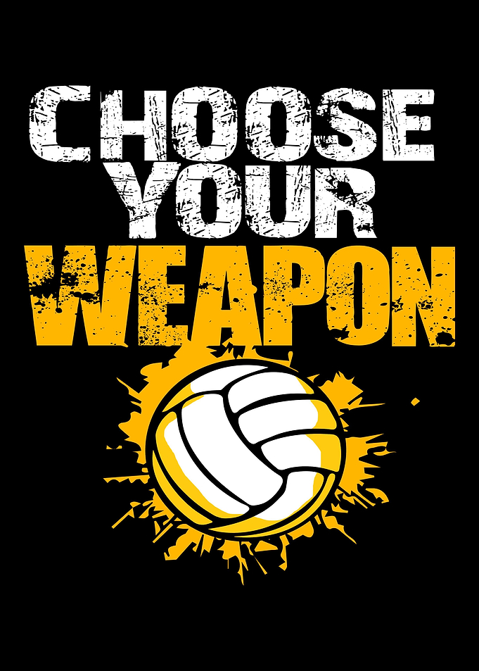 Volleyball Weapon Ball