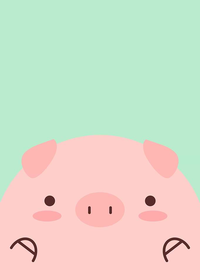 Cute Kawaii Pig Piggy