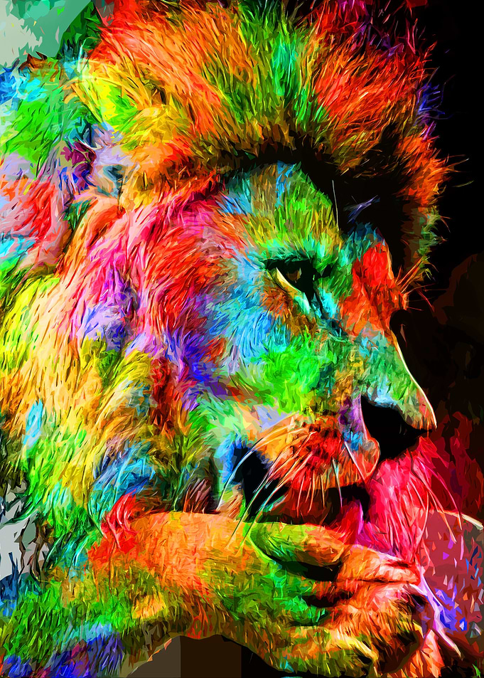 Solitary Lion