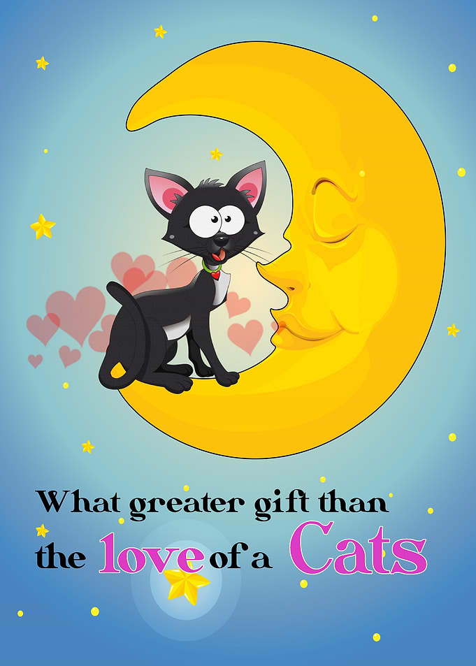 Cats Quotes