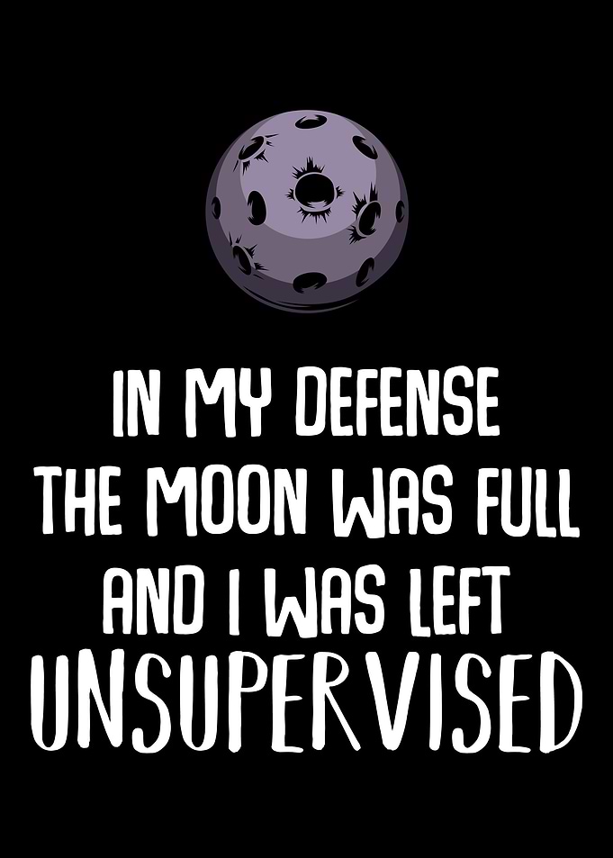 In My Defense The Moon Was