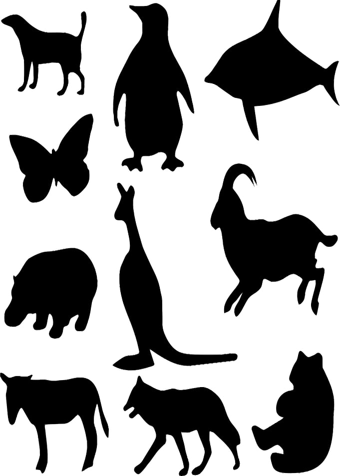 animal black all