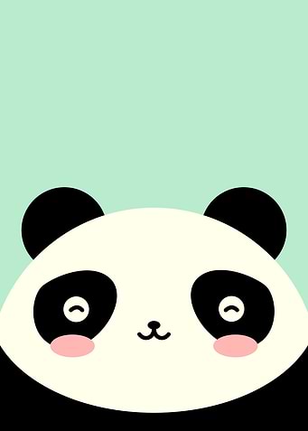 Cute Kawaii Panda Bear