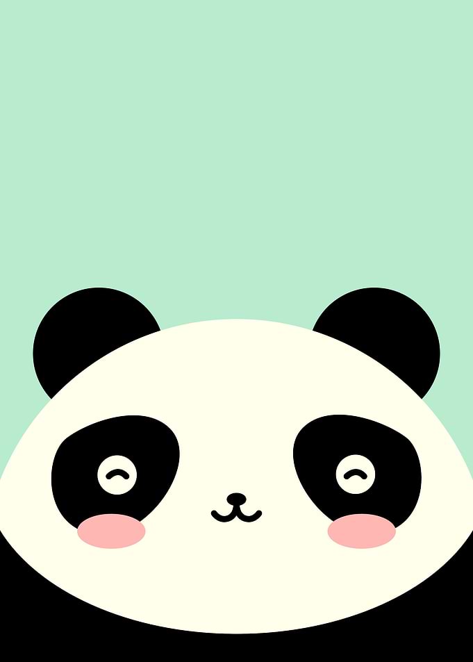 Cute Kawaii Panda Bear