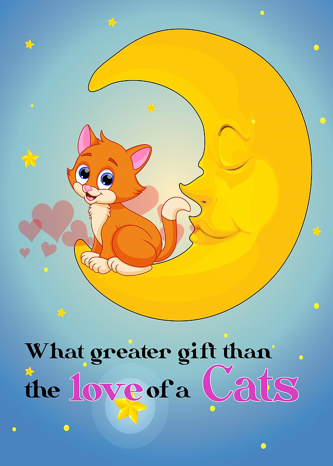 Cats Quotes
