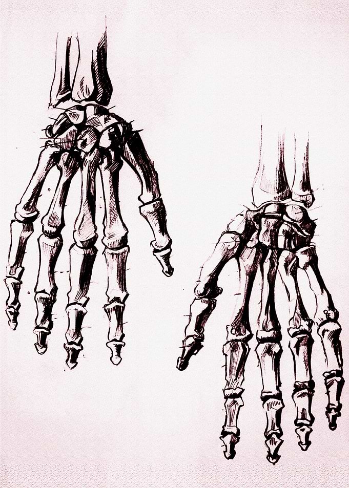 Hands