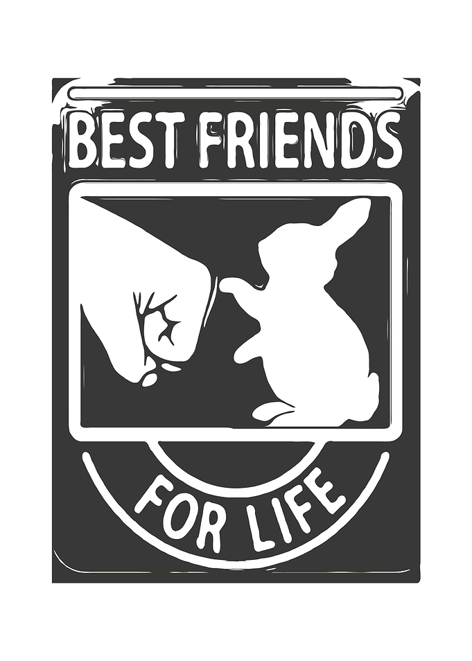 Bunnies Rabbits Best