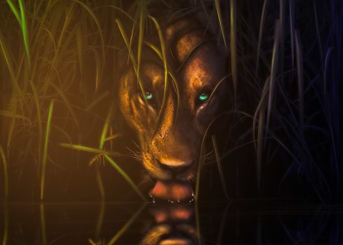 The Lioness