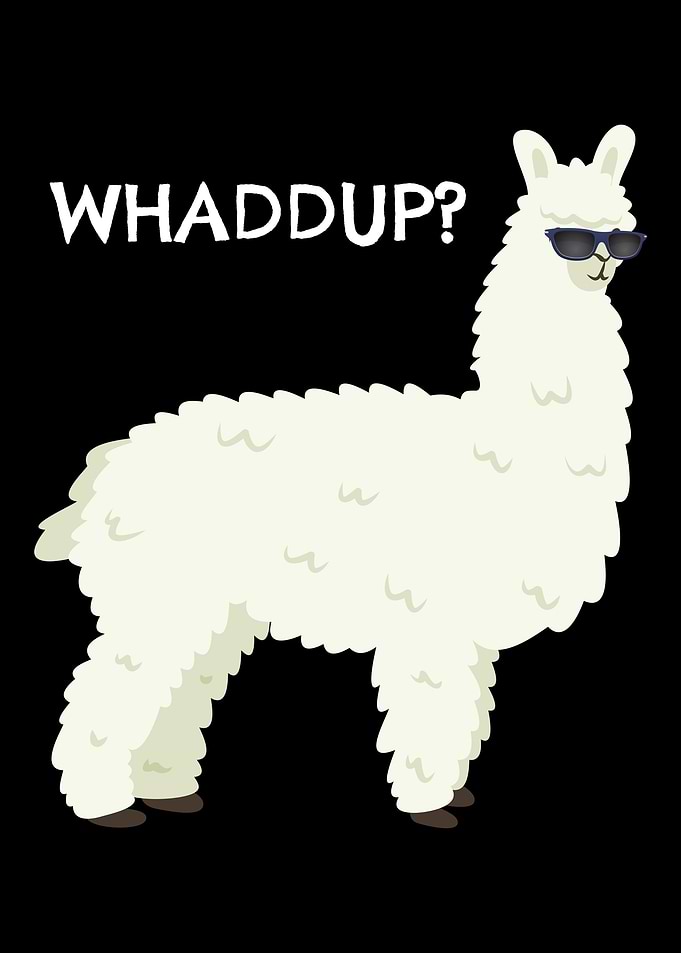 Lama Alpaca gift