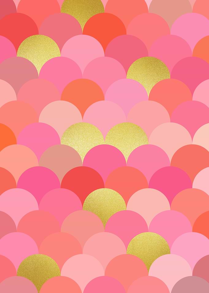 Illustration IX