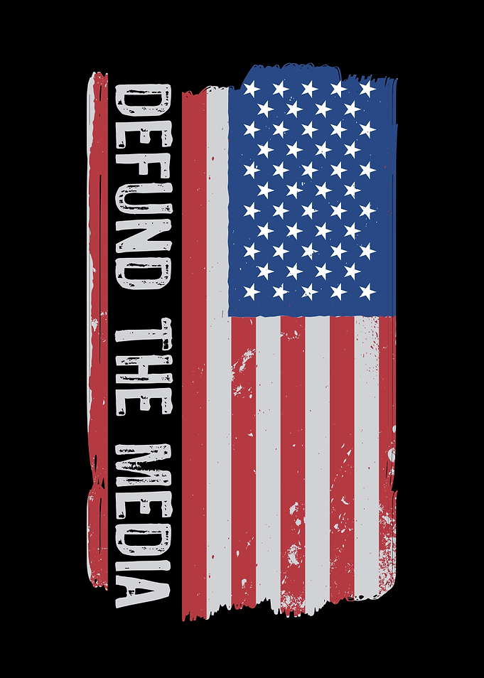 American Flag US Election