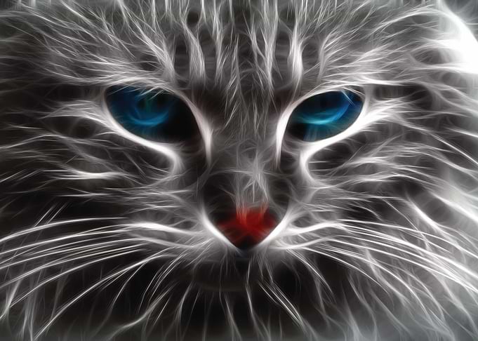 Cats head in smoke