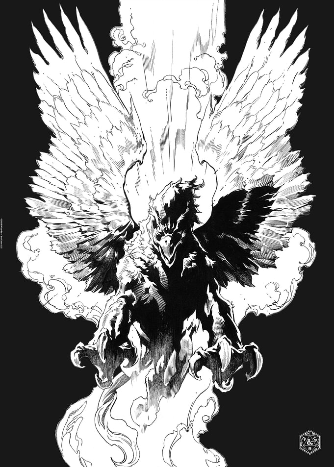 Black N White Griffon