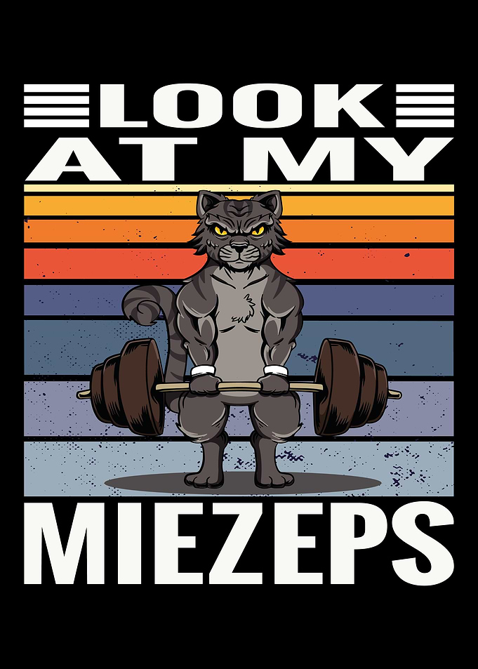 Gym cats saying Look at