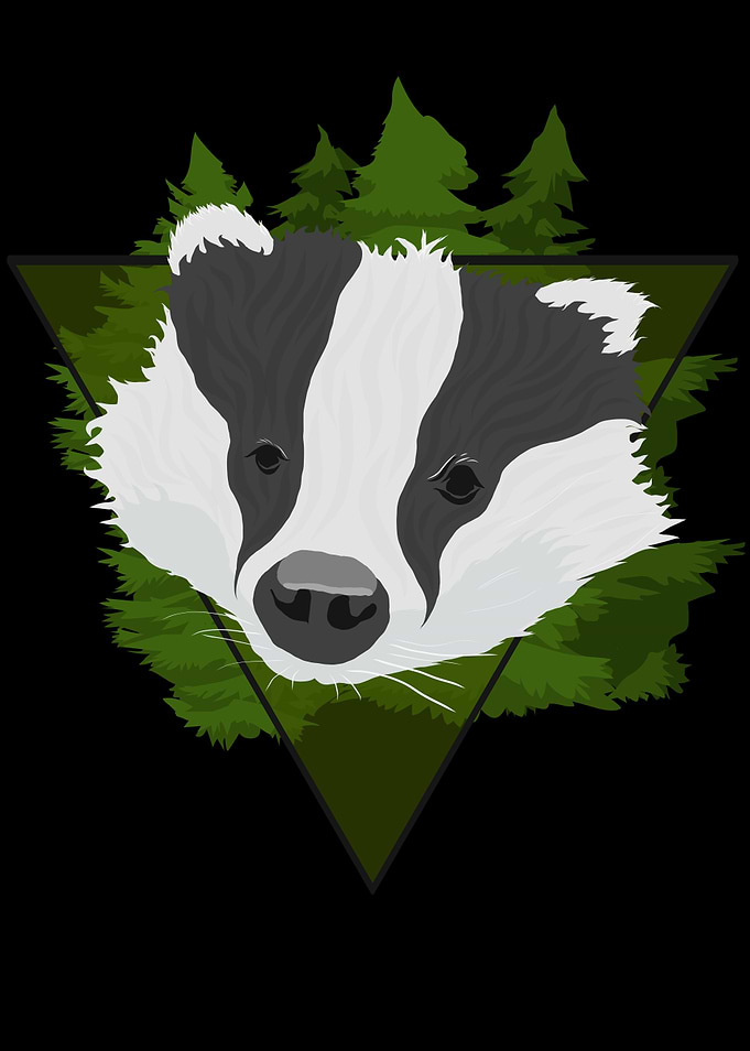 Badger In The Forest