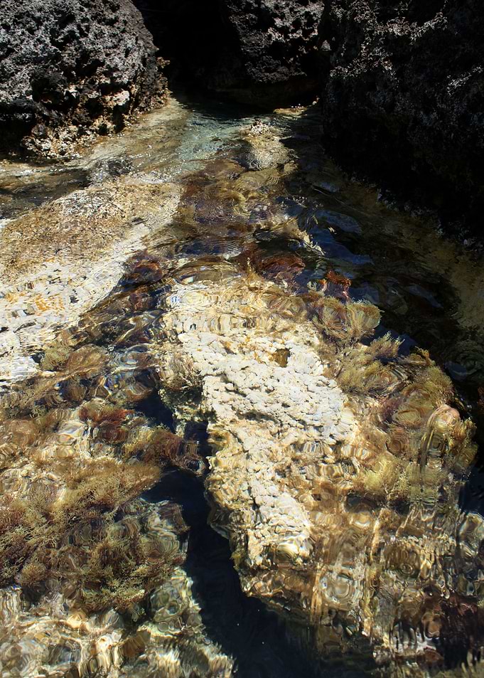 Kedrodasos beach crete