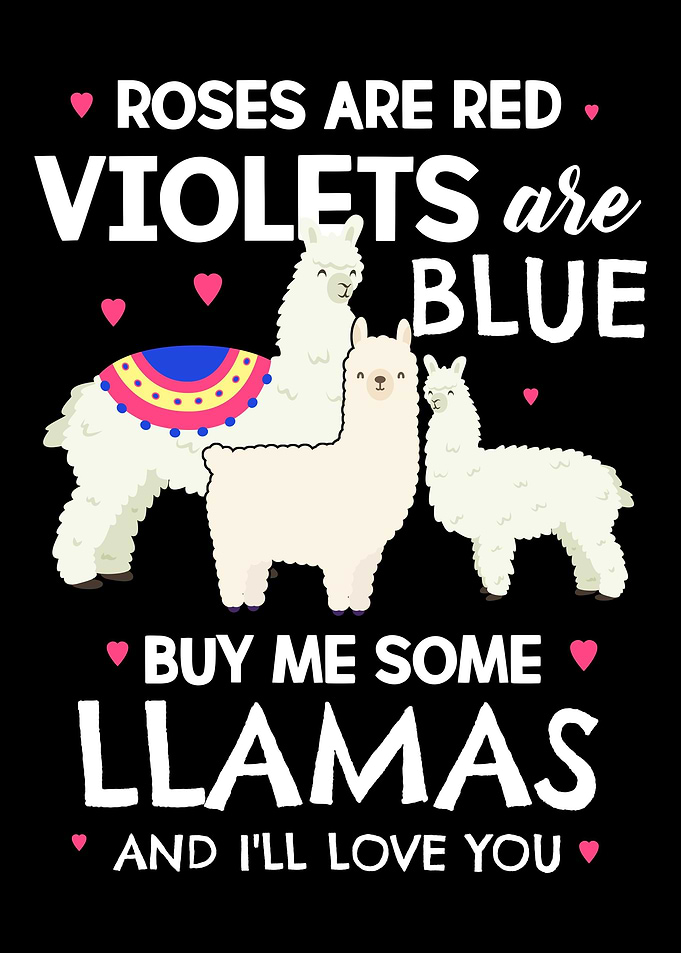 Lama Alpaca gift