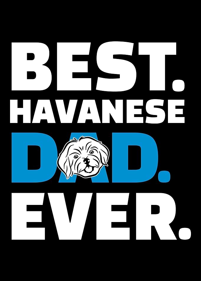 Havanese
