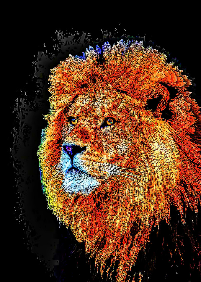 Animal 112