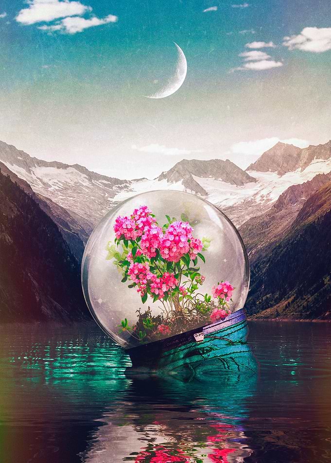 The Ecosystem Edit