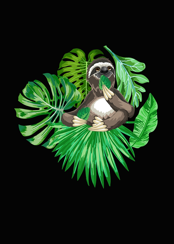 Cute Sloth