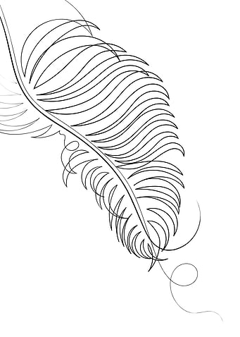 Palm Leaf Line Drawing